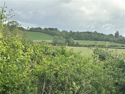 Picture 17